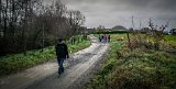 _DSC3371